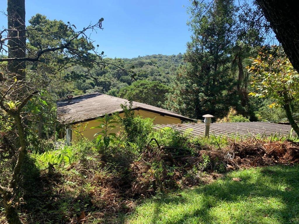 Sítio, 3 quartos, 340 m² - Foto 4