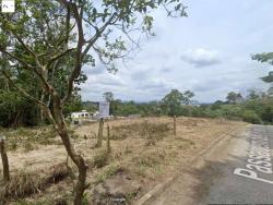 Área para Venda em Embu das Artes - 5