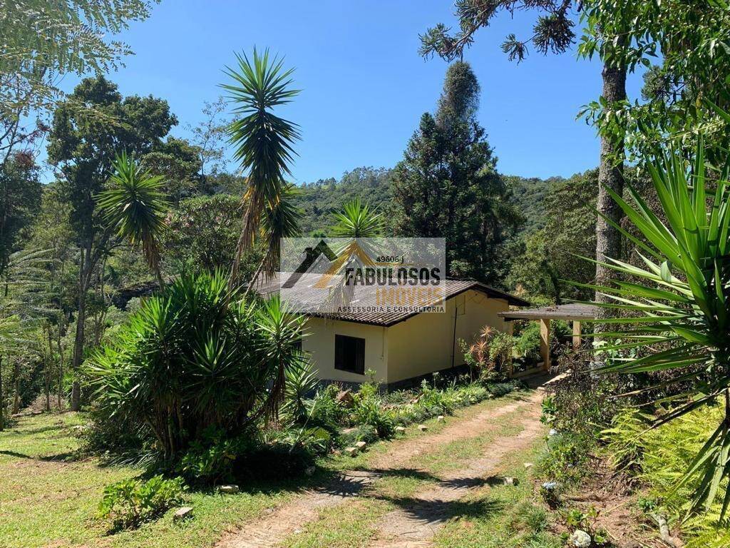 Sítio, 3 quartos, 340 m² - Foto 6