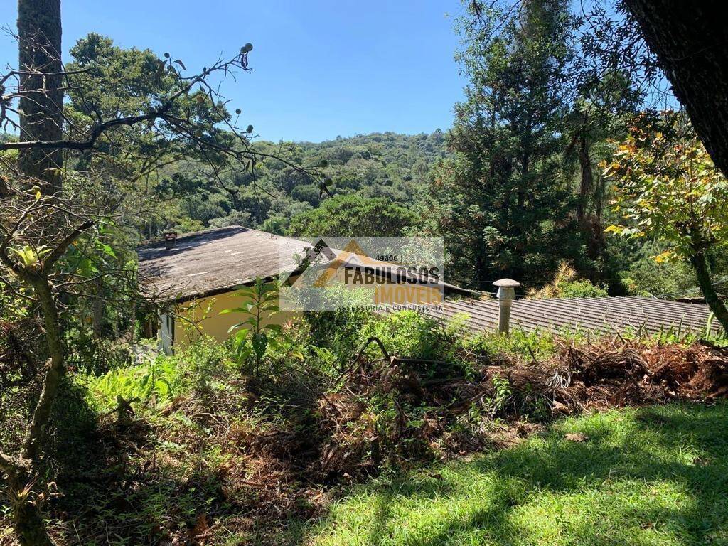 Sítio, 3 quartos, 340 m² - Foto 4