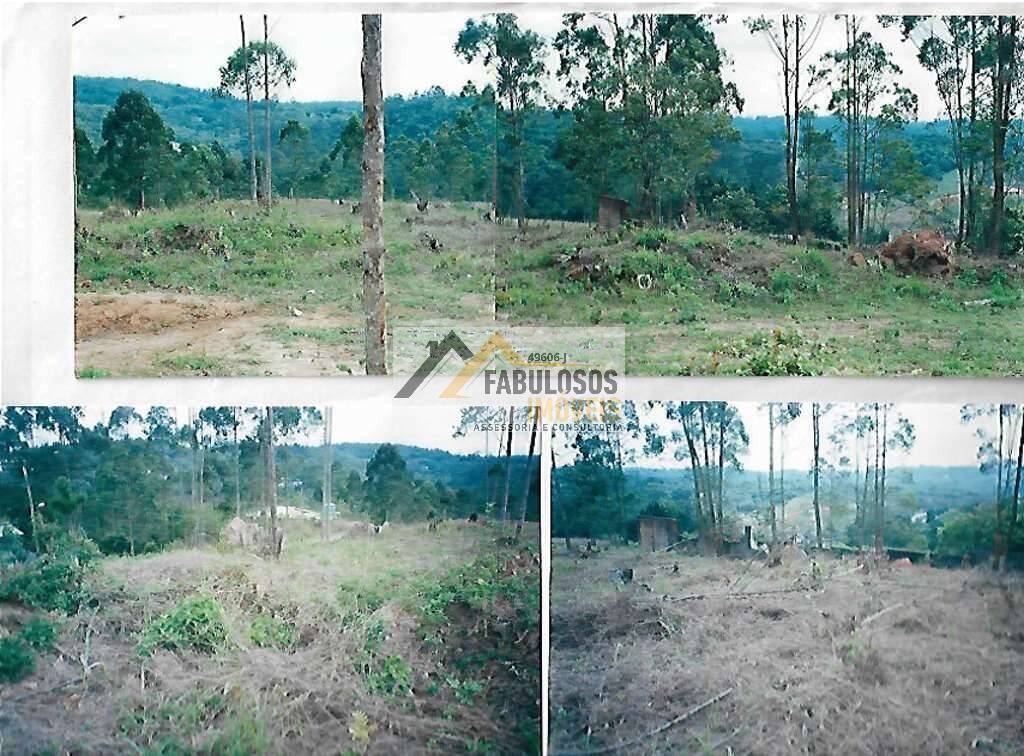 Terreno - Foto 5