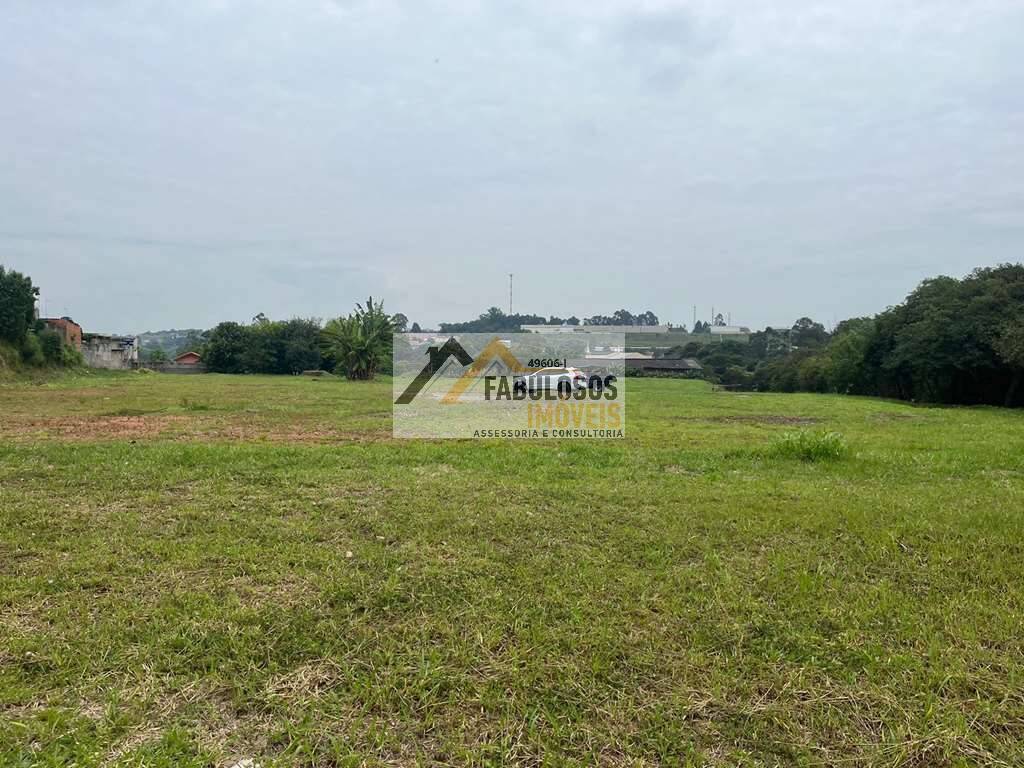 Terreno - Foto 5