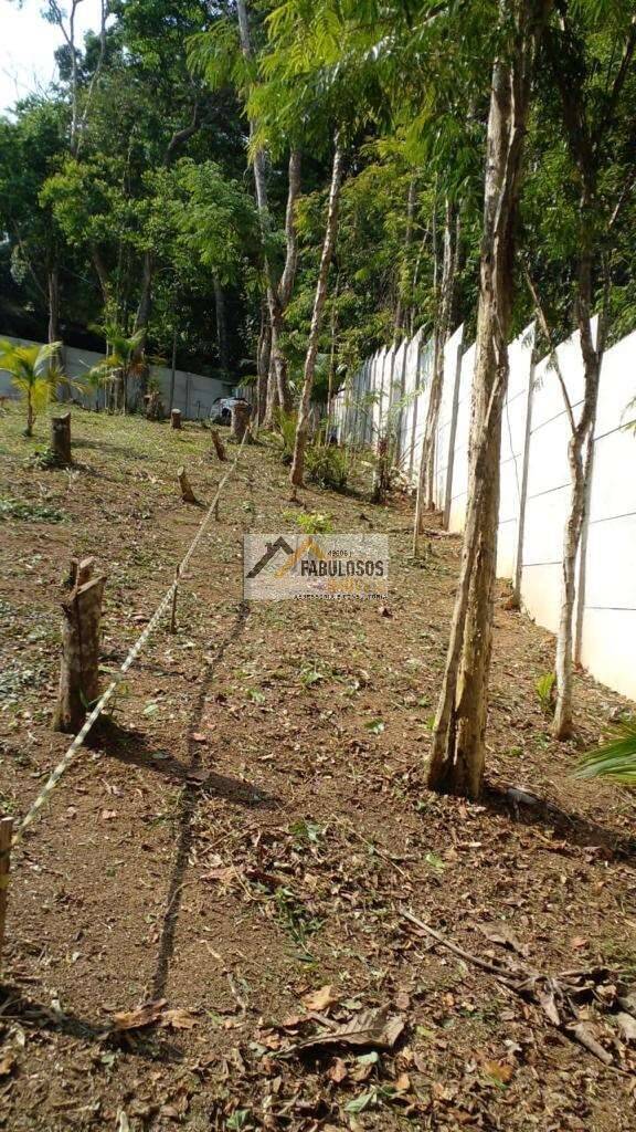 Terreno - Foto 24