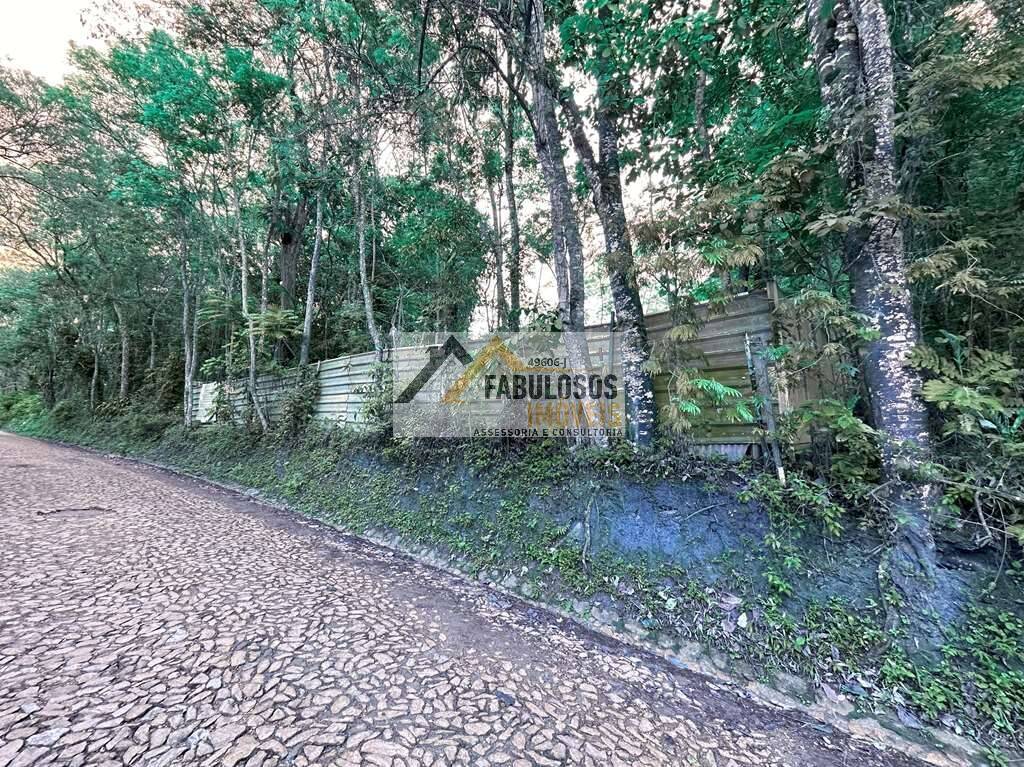 Terreno - Foto 8