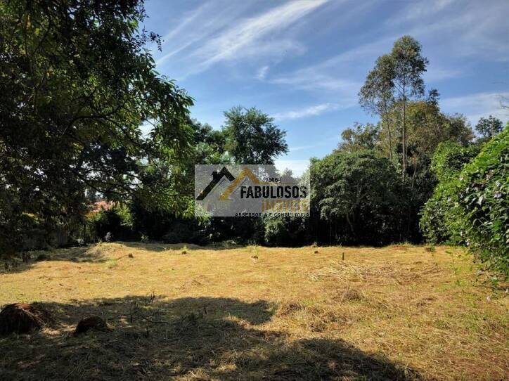 Terreno - Foto 4