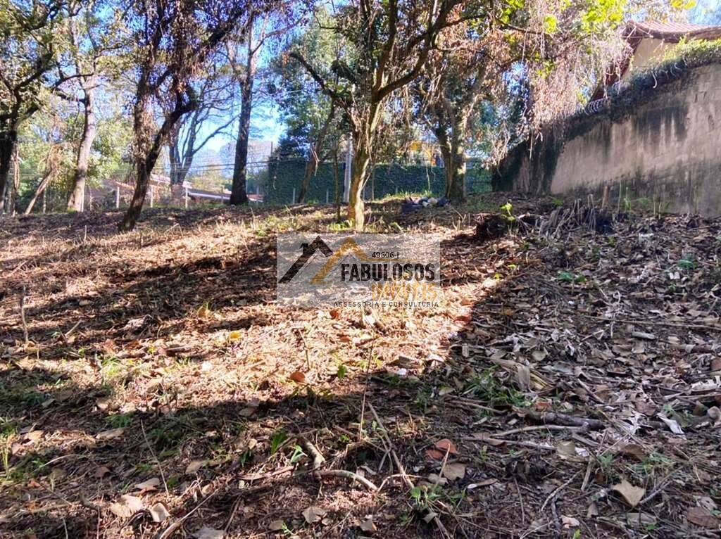 Terreno - Foto 6