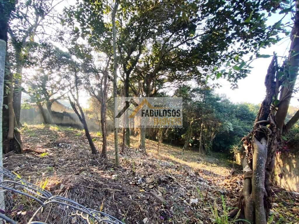 Terreno - Foto 9