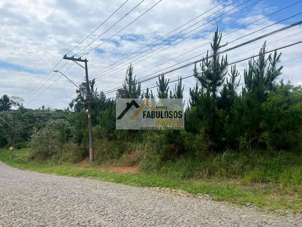 Terreno, 4973 m² - Foto 3