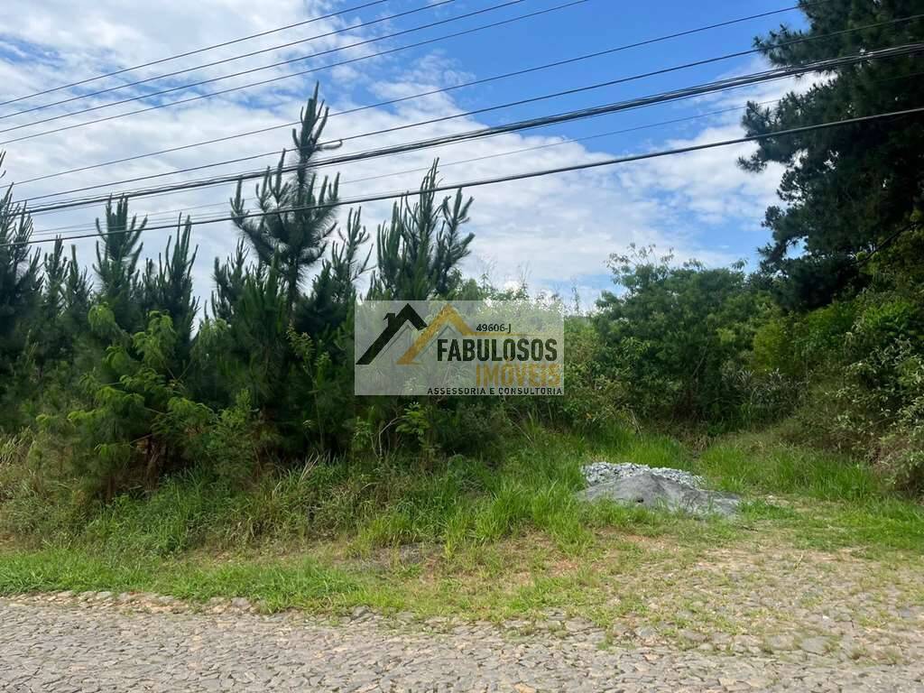 Terreno, 4973 m² - Foto 4