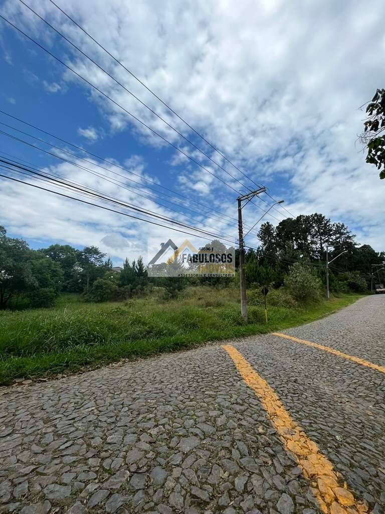 Terreno, 4973 m² - Foto 8