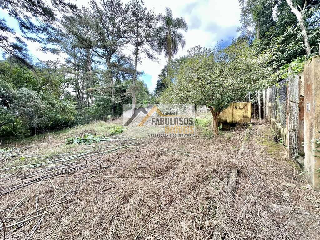 Casa, 3 quartos, 233 m² - Foto 58