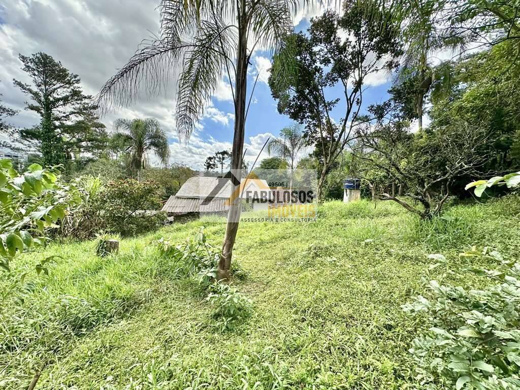 Casa, 3 quartos, 233 m² - Foto 60