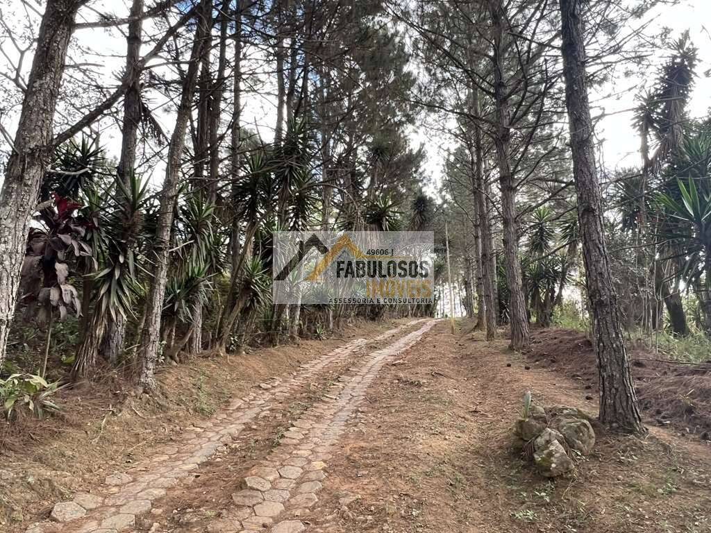 Terreno - Foto 9