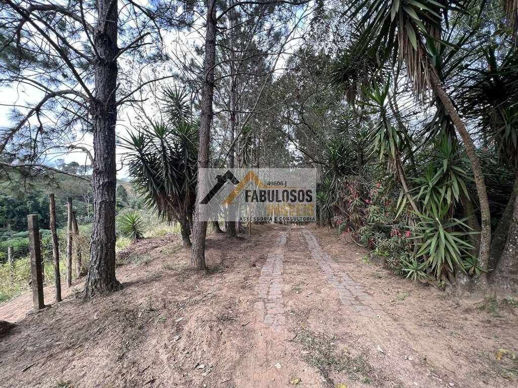 Terreno - Foto 10