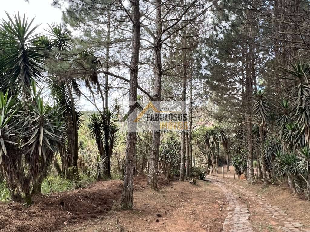 Terreno - Foto 11