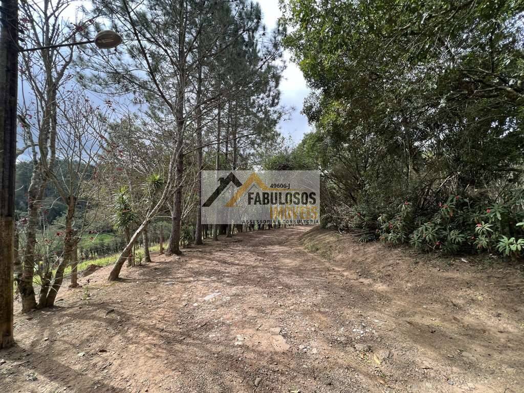 Terreno - Foto 12