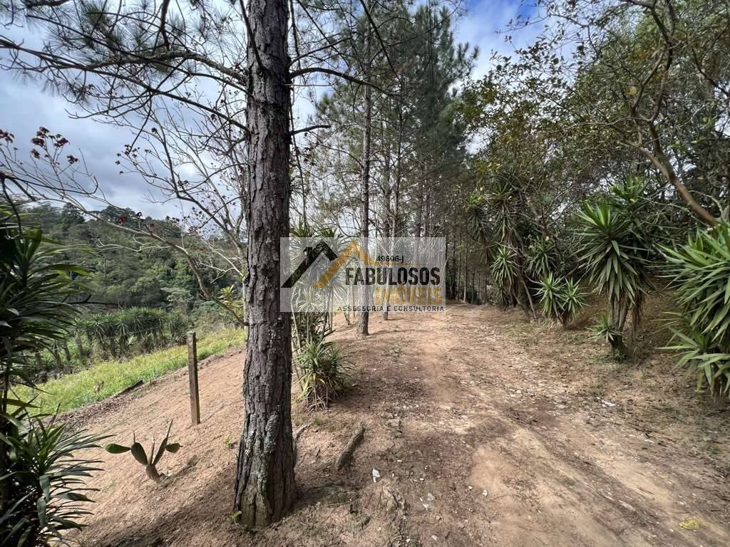 Terreno - Foto 13