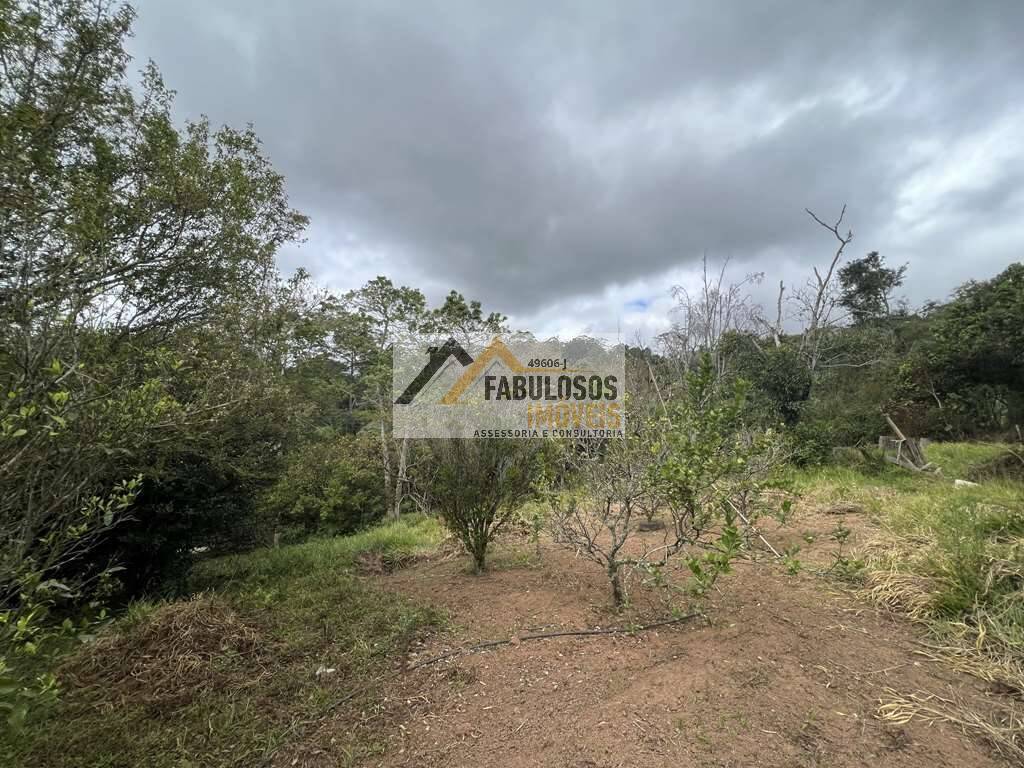 Terreno - Foto 15