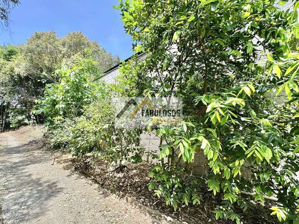 Casa, 5 quartos, 401 m² - Foto 62