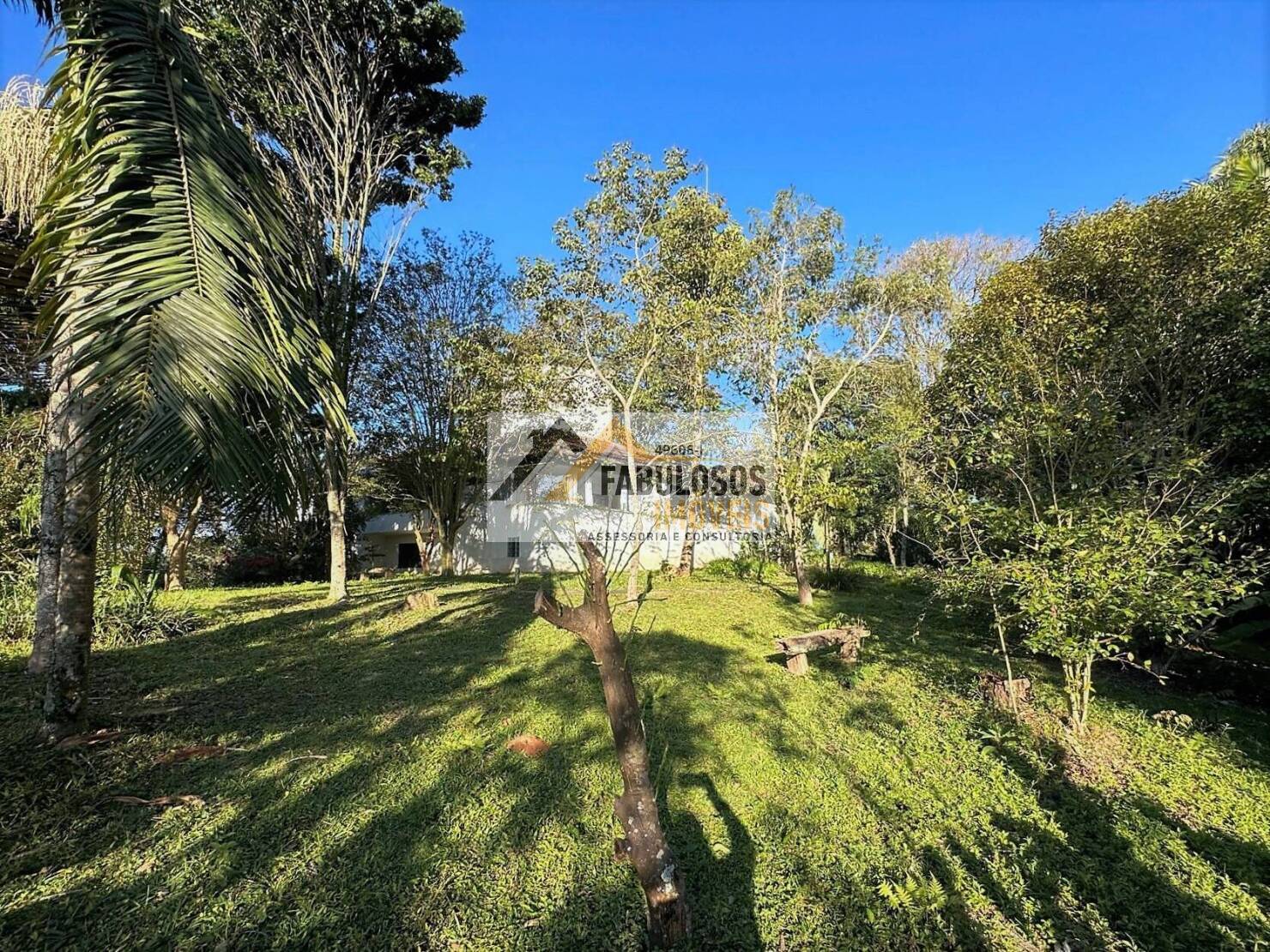 Casa, 3 quartos, 434 m² - Foto 47