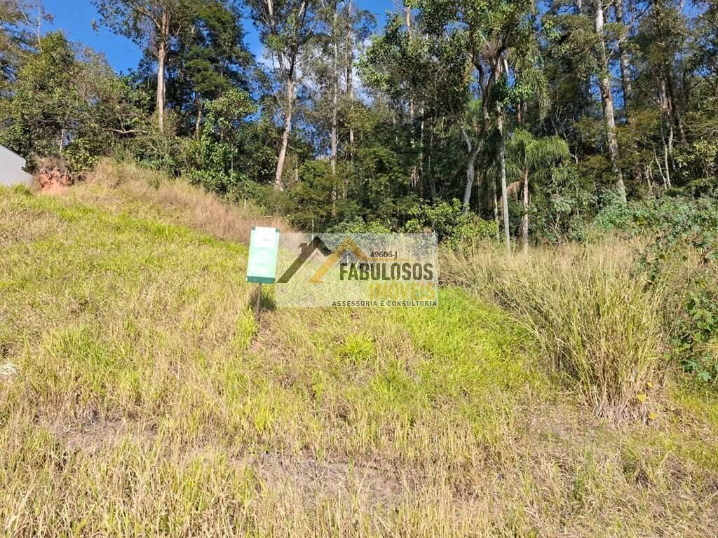 Terreno - Foto 7