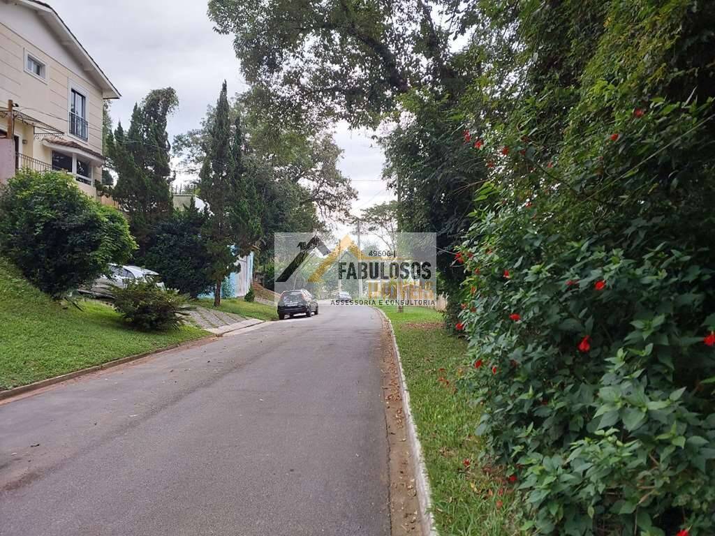 Terreno - Foto 4