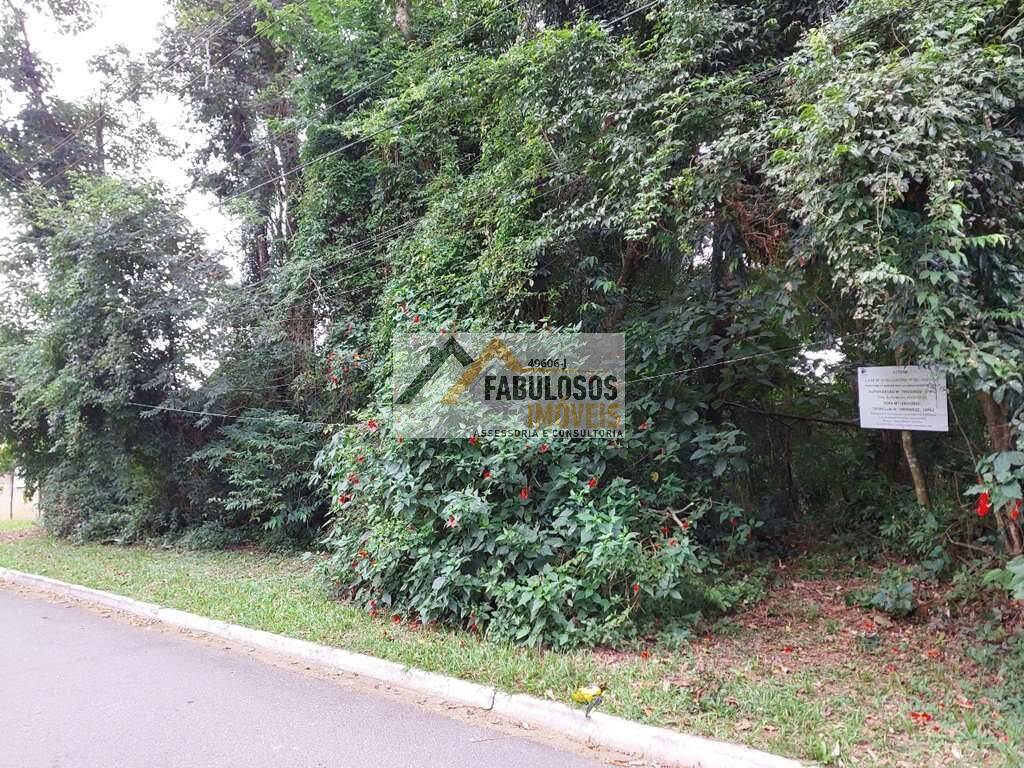 Terreno - Foto 5