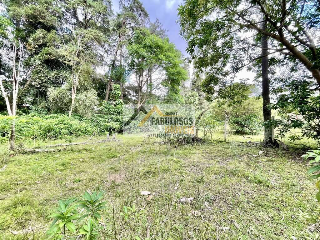 Casa, 5 quartos, 756 m² - Foto 24